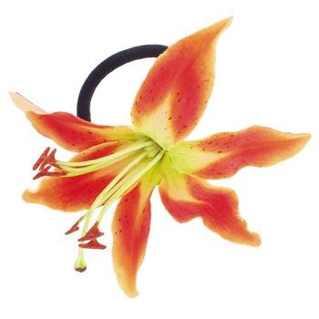 Karin's Garden - Tiger Lily - Pony Elastic - Orange (1)