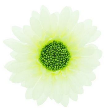 Karen Marie - Le Fleur Collection - Medium Daisy - White (1)
