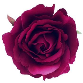 Karen Marie - Le Fleur Collection - American Beauty Rose - Burgundy  (1)