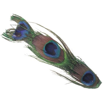 SOHO BEAT - Wild About Town - Peacock Feather Barrettes (Set of 2)
