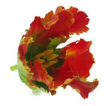 Karen Marie - Le Fleur Collection - Parrot Tulip - Flaming Orange (1)