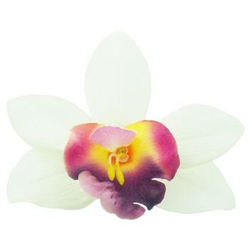 Karen Marie - Le Fleur Collection - Large Cymbidium Orchid - White w/Fuschia (1)