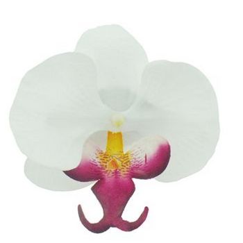 Karen Marie - Le Fleur Collection - Medium Phalaenopsis Orchid Clip - White w/Burgundy (1)
