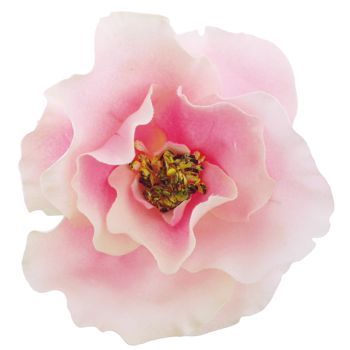 Karen Marie - Le Fleur Collection - Wild Rose - Icy Pink (1)
