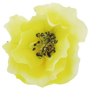 Karen Marie - Le Fleur Collection - Wild Rose - Lemon Drop (1)