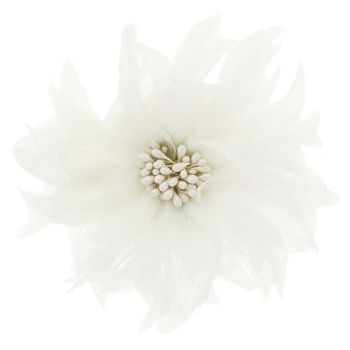Evita Peroni - Olea Pony Elastic - Antique White (1)