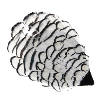 Colette Malouf - Patterned Feather Beak Clip - Black & White (1)