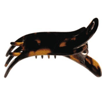 Evita Peroni - Sille Shark - Tort (1)