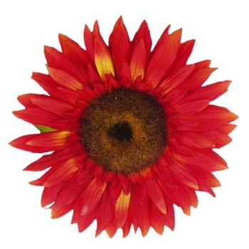 Karin's Garden - Sunflower - Pony Holder - Red (1)