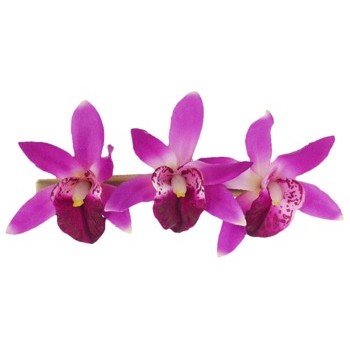 Karin's Garden - Mini Satin Orchid Barrette - Fuchsia (1)
