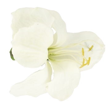 Karin's Garden - Amaryllis Barrette Hair Clip - Ivory White (1)