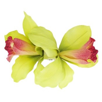 Karin's Garden - Vanda Orchid - Double Orchid Barrette - Lime (1)