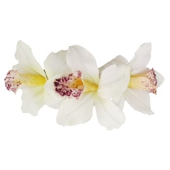 Karin's Garden - Mini Vanda Orchid Barrette - White (1)