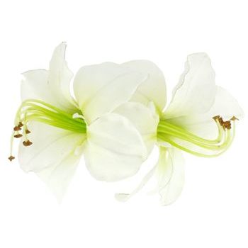 Karin's Garden - Double Amaryllis Barrette Hair Clip - White (1)