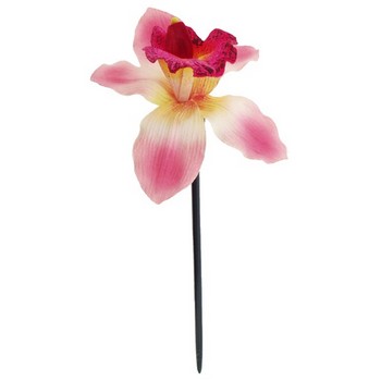 Karin's Garden - Vanda Orchid Chopstick - Pink (1)