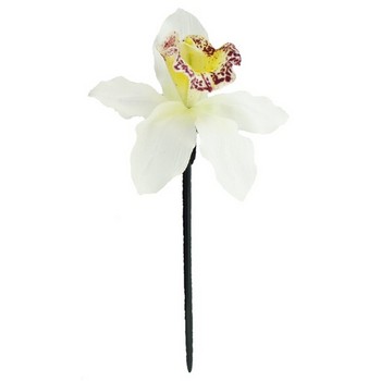 Karin's Garden - Vanda Orchid Chopstick - White (1)