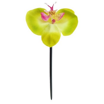 Karin's Garden - Phalaenopsis Orchid Chopstick - Lime (1)