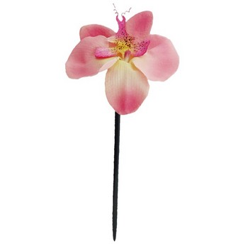 Karin's Garden - Phalaenopsis Orchid Chopstick - Pink (1)