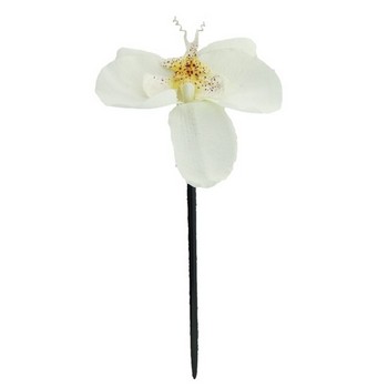 Karin's Garden - Phalaenopsis Orchid Chopstick - White (1)