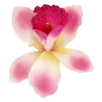 Karin's Garden - Cymbidium Orchid - Salon Clip - Pink (1)