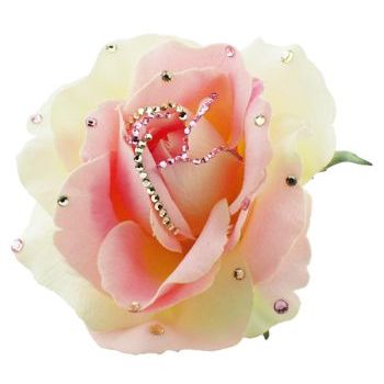 Michelle Roy - Large Silk Rose Clip - Baby Pink & Yellow w/ Swarovski Crystal Accents