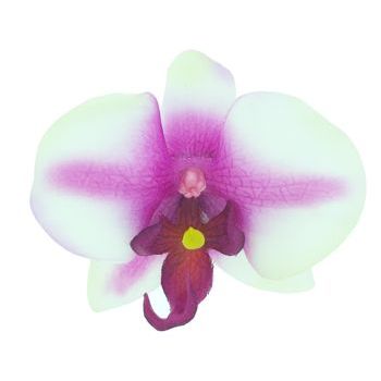 Karen Marie - Le Fleur Collection - Medium Phalaenopsis Orchid Clip - White w/Violet (1)