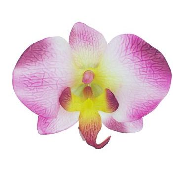 Karen Marie - Le Fleur Collection - Medium Phalaenopsis Orchid Clip - Violet w/Yellow (1)