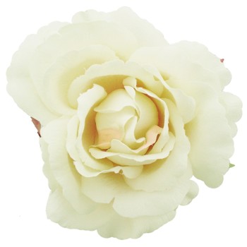 Karen Marie - Le Fleur Collection - American Beauty Rose - Vanilla Cream (1)