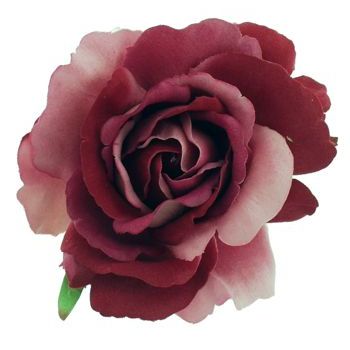 Karen Marie - Le Fleur Collection - American Beauty Rose - Dusty Pink Mauve (1)