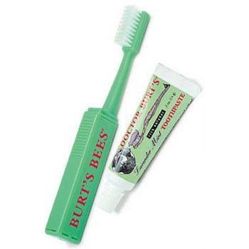 Burt's Bees - Lavender Mint Toothpaste Kit