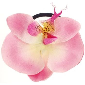 Karin's Garden - Phalaenopsis Orchid - Pony Elastic - Pink (1)