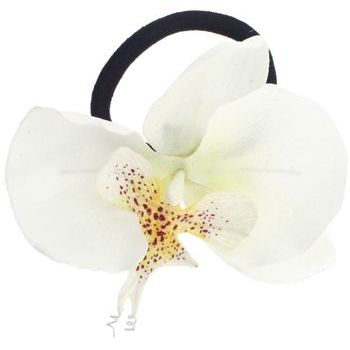 Karin's Garden - Phalaenopsis Orchid - Pony Elastic - White (1)