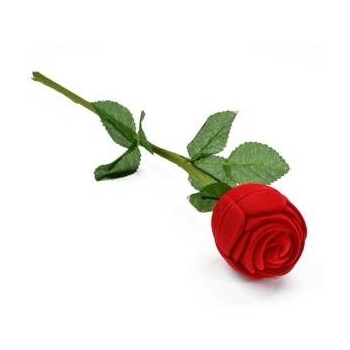 HairBoutique Beauty Bargains - Red Rose Jewelry Gift Box
